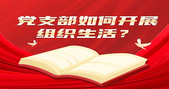 j9九游会红·创先锋｜党支部如何开展组织生活？